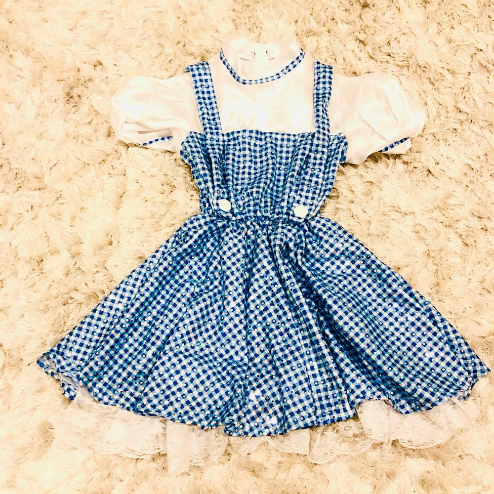 🎉HP🎉Sparkling Dorthy Costume Wizard of Oz Theme
